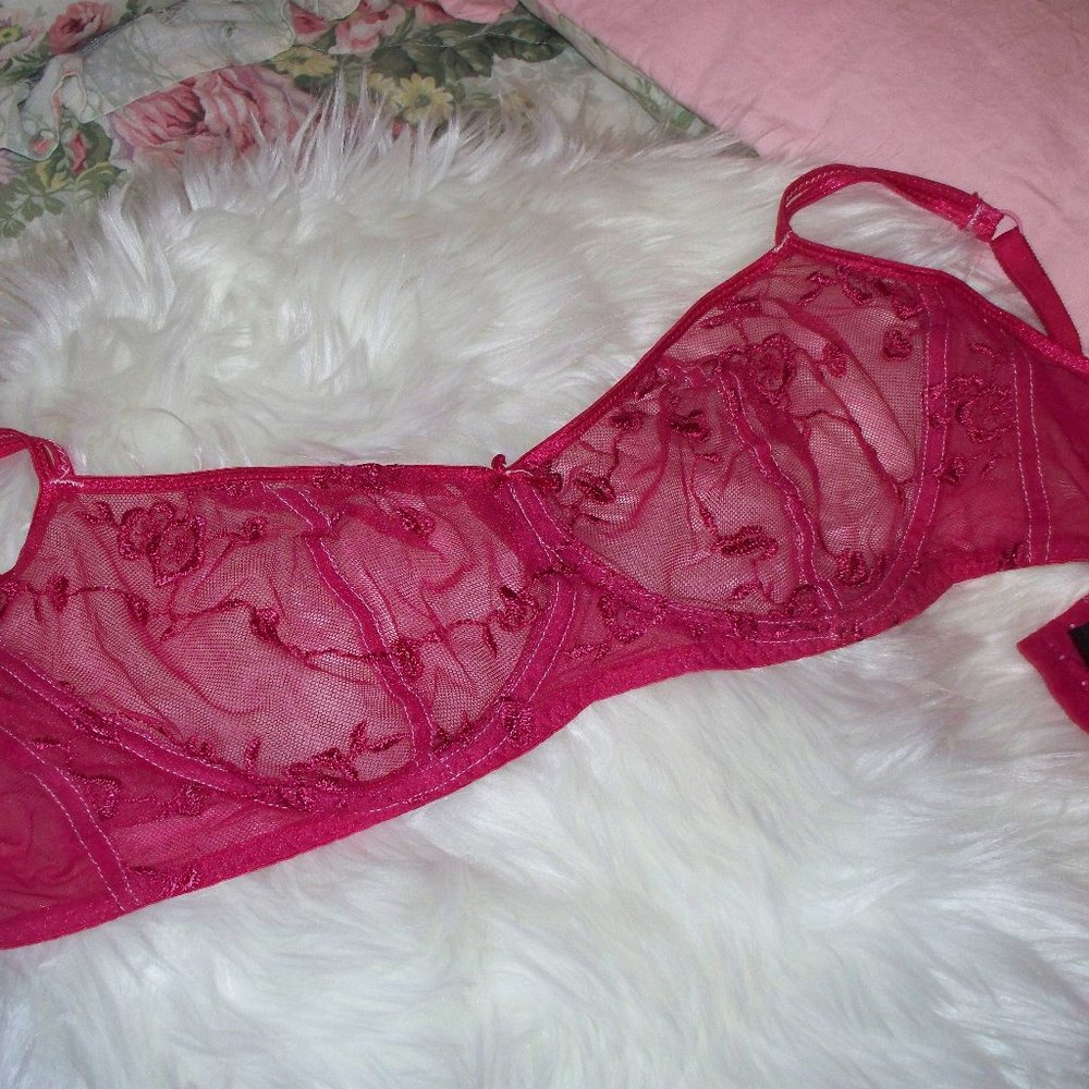 Donna Loran red sheer bra